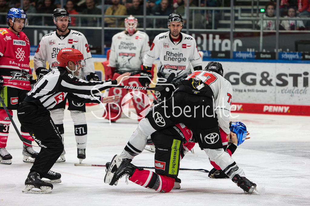 Augsburger Panther - Koelner Haie  | Alexander ROACH (KEC #77) und Adam Payerl (AEV #11) haben einen Kampf auf dem Eis / Fight / Boxing / Boxen / Kaempfen / Kämpfen