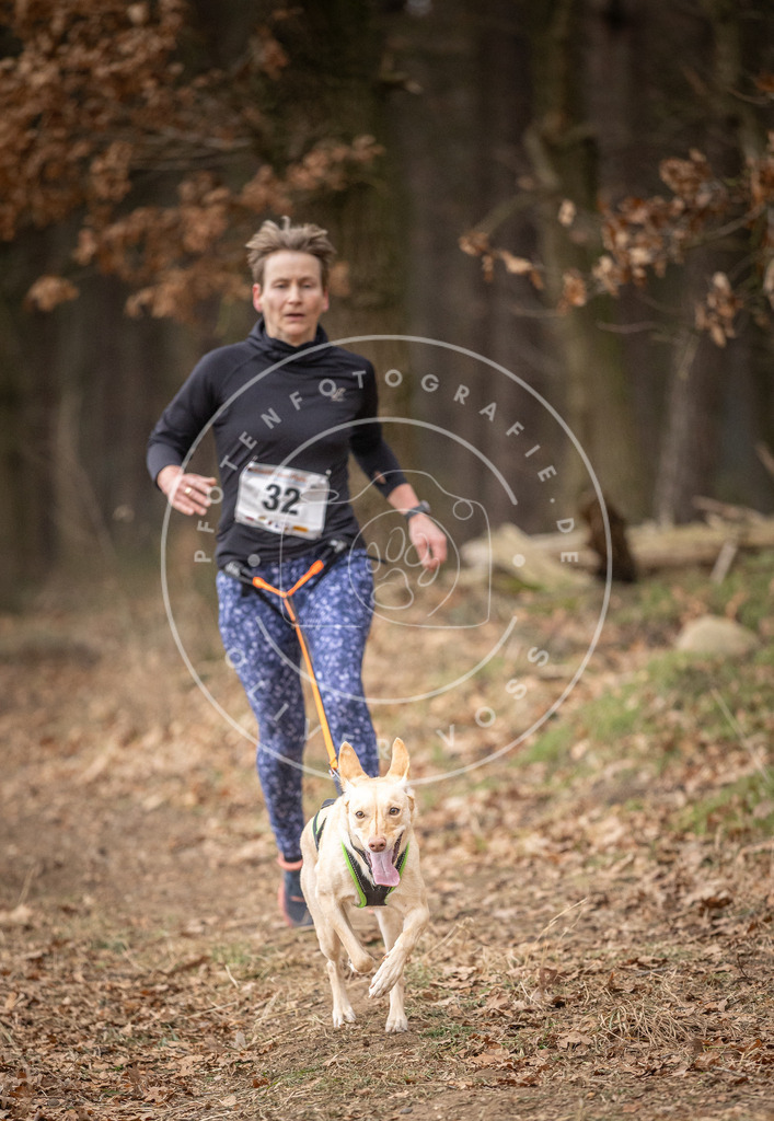 Pfotenfotografie_DV3A4994 | Hundefotografie, Tierfotograf, Pfotenfotografie, Fotoshooting Hund, Hunde Portrait, Hundesport, Hundeportraits, Heideshooting, Hunde, Sportfotograf, Hundefotograf, Turnierhundsport, THS,  - Realisiert mit Pictrs.com