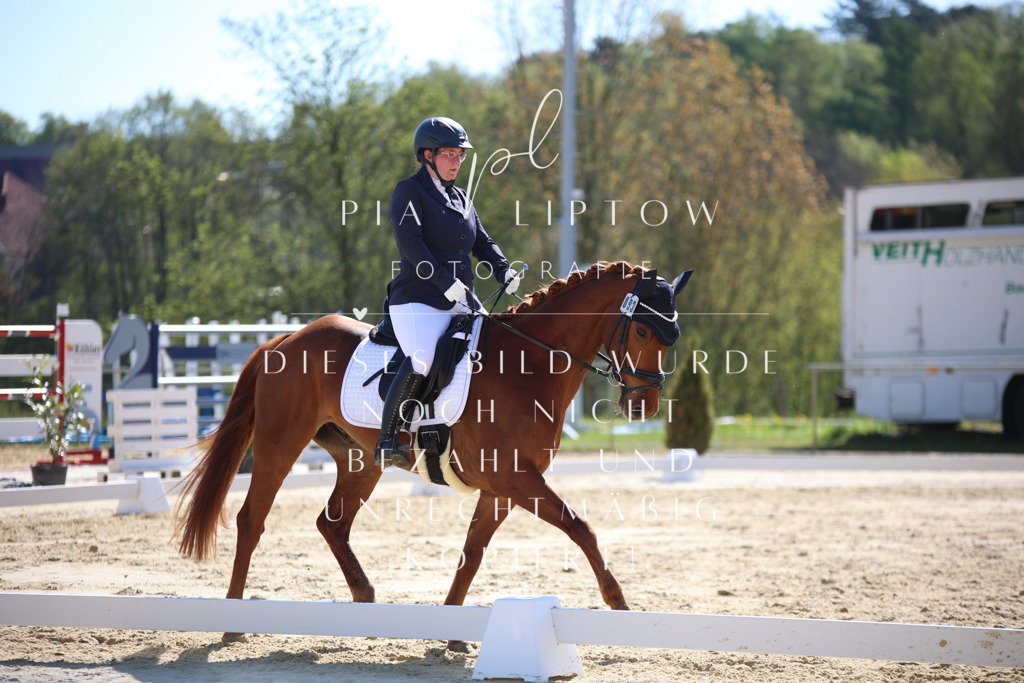 IMGT9795 | pl-fotografie