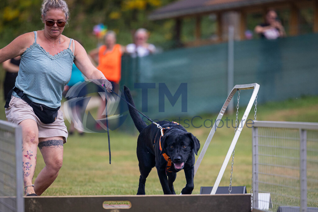 TP-20240815-0033 | Copyright: Trainproduction / Matthias Trinkl