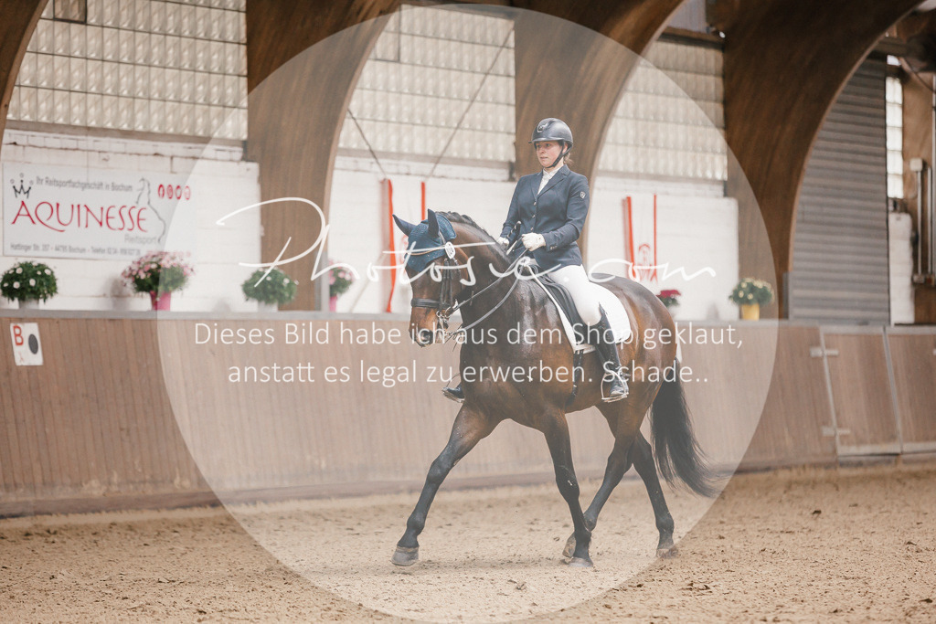 3I6A8479 | Stimmungsvolle Portraits und Reitsportfotografie im Ruhrgebiet und im Münsterland.

Pferdefotografie, Hundefotografie, Tierfotografie, Reportagen, Portraits von Tier und Mensch, Turnierfotografie in Bochum, Recklinghausen, Marl, Haltern am See, Dülmen.. - Realisiert mit Pictrs.com