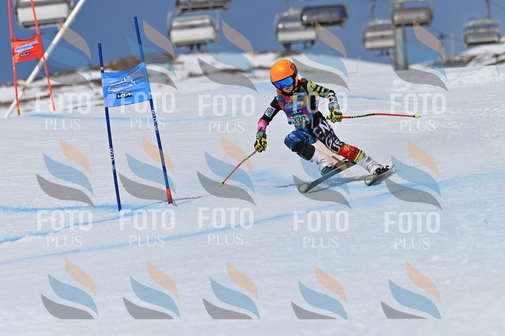 BGV_6695 | holidayphoto