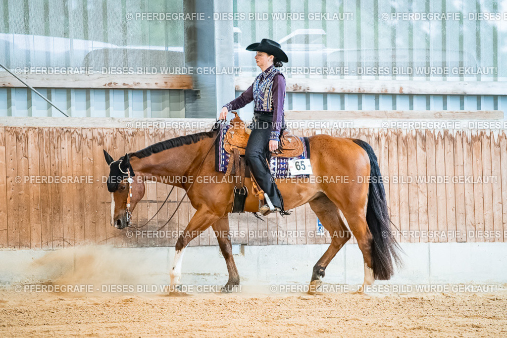 DSC09952 | Pferdegrafie