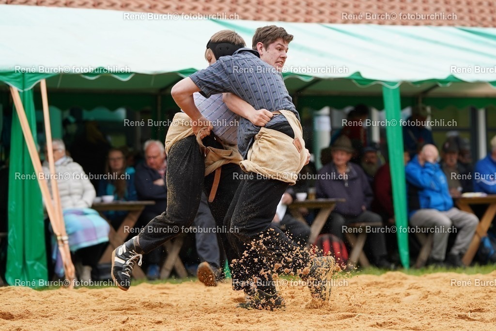 20220424-DSC09253 | René Burch leidenschaftlicher Fotograf aus Kerns in Obwalden.  Hier finden sie Sport, Landschaft und Natur Fotografie.
 - Realisiert mit Pictrs.com