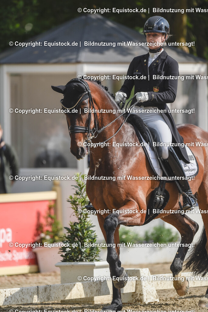 20240519_03_GP-Special-Tour_0019 | Foto: Thomas Hartig