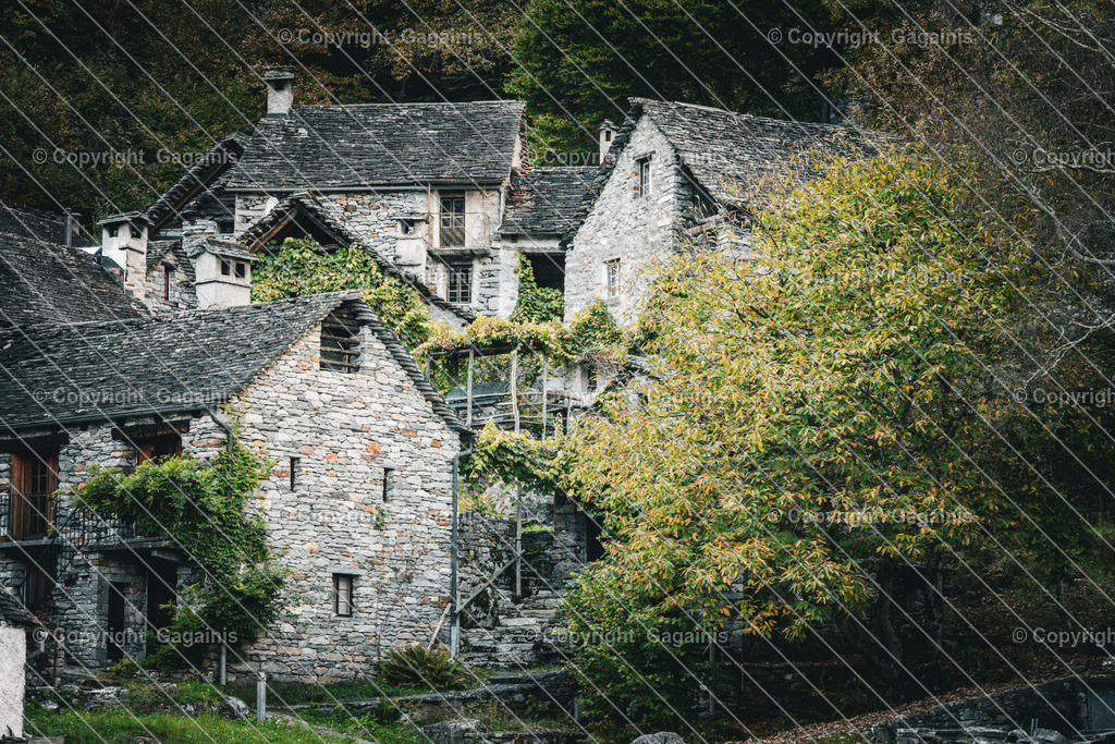 Foroglio Nachbarn | Foroglio ist ein malerisches Bergdorf im Bavonatal im Tessin, Schweiz. Es ist bekannt für seinen beeindruckenden Wasserfall, der rund 80 Meter tief in das Tal stürzt, sowie für seine traditionellen Steinhäuser, engen Gassen und unberührte alpine Landschaft. Das Dorf wirkt wie aus einer anderen Zeit und zieht Natur- und Fotoliebhaber gleichermaßen an.