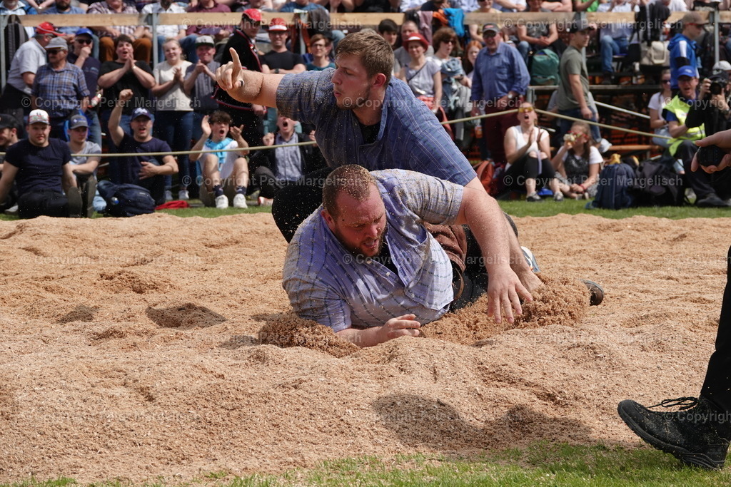 DSC04166 | Schwingen - Realisiert mit Pictrs.com