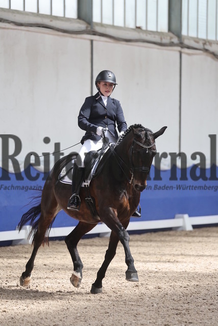 Pforzheim_2024_Prfg.Nr.12_Dressurreiterprfg.Kl.M_Nürnberger-Burgpokal_Joy-Stephanie Maier_Legamenta (8) | Alle Fotos der Reiterjournal Fotografin Doris Matthaes im Reiterjournal Online-Fotoshop. - Realisiert mit Pictrs.com