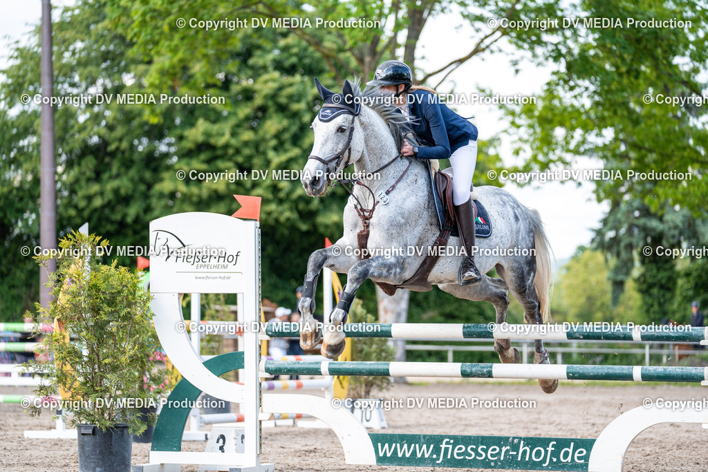 Eppelheim Tag 2-600 | dv-media-shop - Realisiert mit Pictrs.com