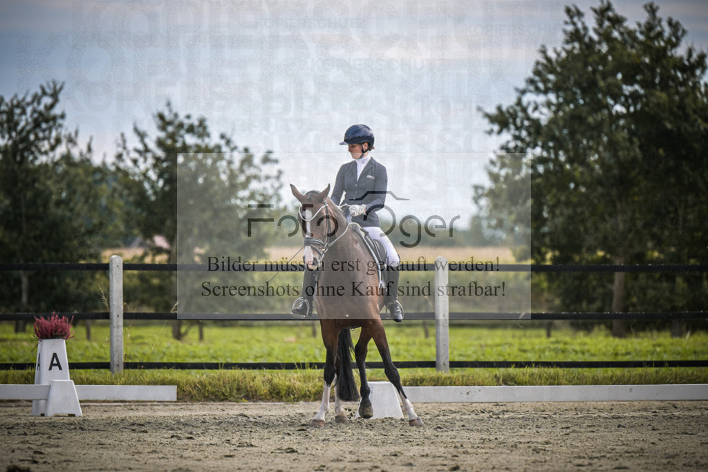 DOS_2179 | Entdecke hochwertige Reitturnierfotos von Foto Oger. Professionell, emotional und authentisch – jetzt Lieblingsmomente im Shop bestellen.Deutschlandweite Turnierfotografie. - Realisiert mit Pictrs.com