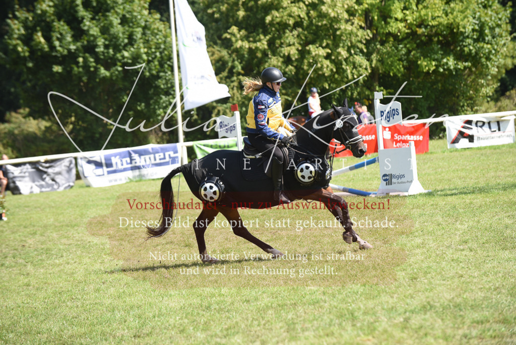 DSC_0397 | Pferde- und Turnierfotografie in Westsachsen. Pferdeportraits, Auftragszeichnungen und intuitive Kunst.