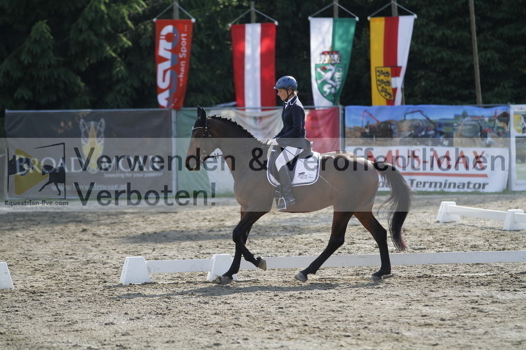 _MG_2382 | equestrian-live-com