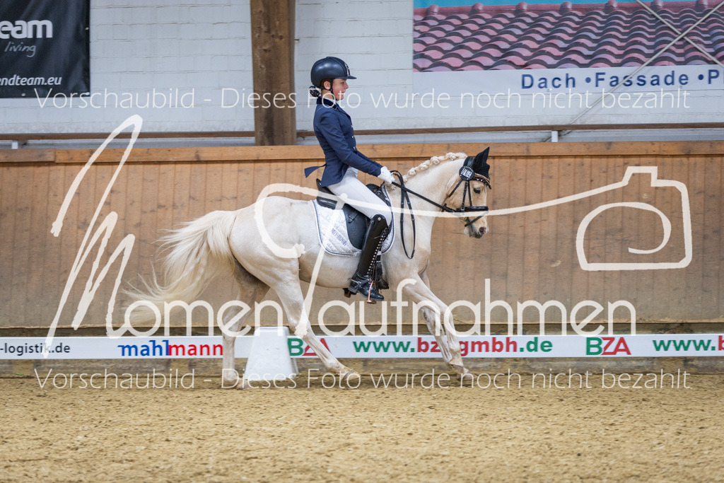 Sth-LPO25-A-Dr-164 | MomenTaufnahmen Pferdesportfotos