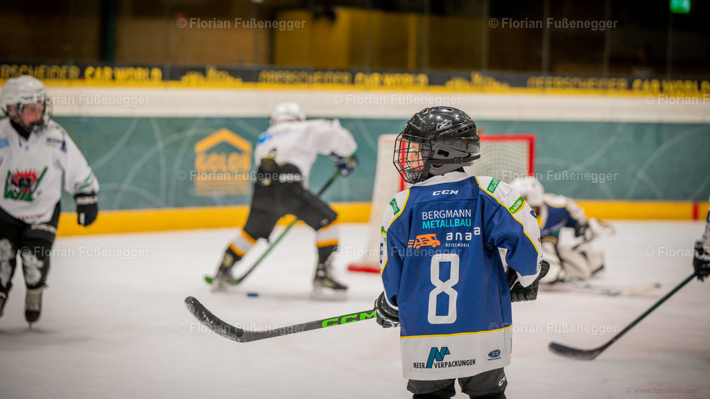 4E94A0C6-D26D-4BD8-BFB0-AD7832A16440 | "Fussifoto.com – Ihr Ansprechpartner für hochwertige Fotografie! Entdecken Sie kreative Bilder und professionelle Dienstleistungen. Kontaktieren Sie uns für Ihre Projekte!"