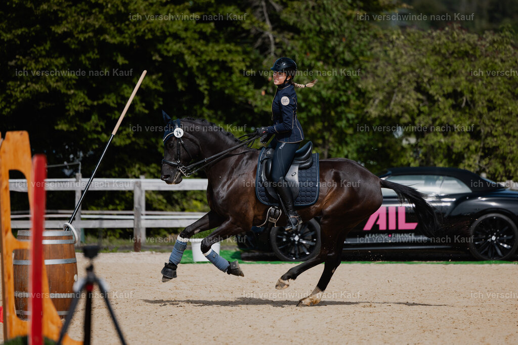 Leonie24_FHC2025-61 | working equitationturnier fotograf videograf stoibphotography marixx film working equitation deutschland reitsport turnierfotografie eventfotografie equestrian events