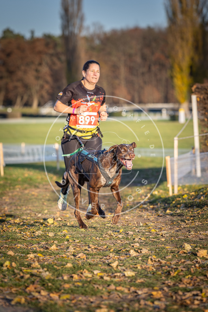CaniXpix_DV3A4582 | Hundefotografie, Tierfotograf, Pfotenfotografie, Fotoshooting Hund, Hunde Portrait, Hundesport, Hundeportraits, Heideshooting, Hunde, Sportfotograf, Hundefotograf, Turnierhundsport, THS,  - Realisiert mit Pictrs.com