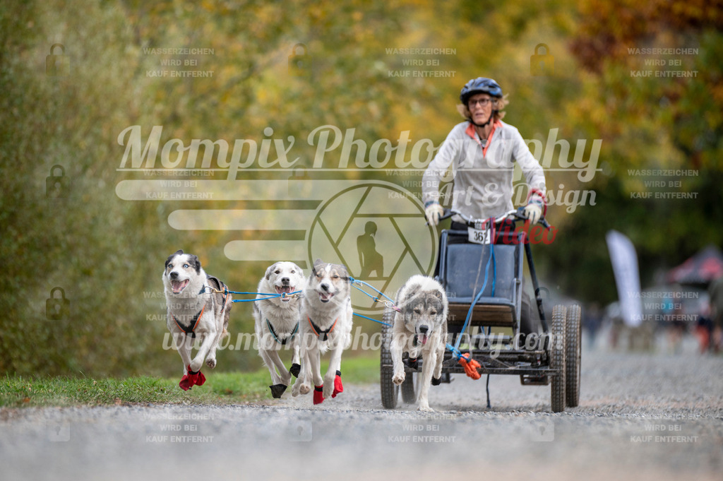 TSB_2023_E2_Kart-15 | PayLife