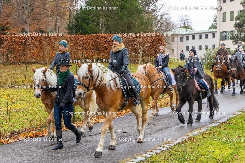 LL25-140 | foto-bettina-krinner - Realisiert mit Pictrs.com