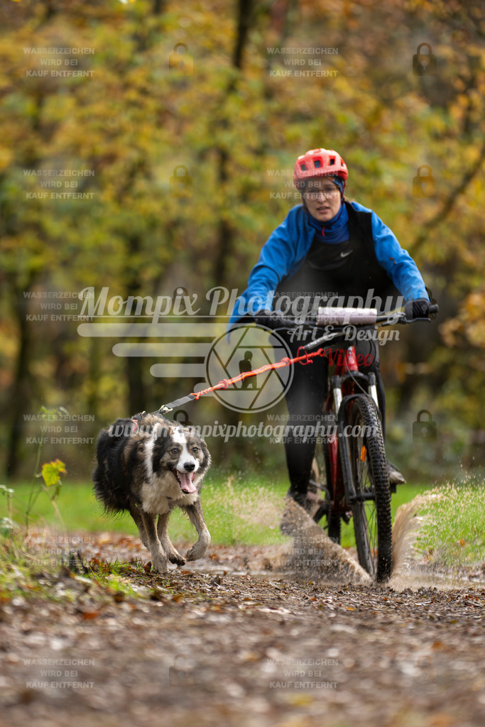 MompixPhotography_Bischwiller23_Bike-38 | mompixphotography
