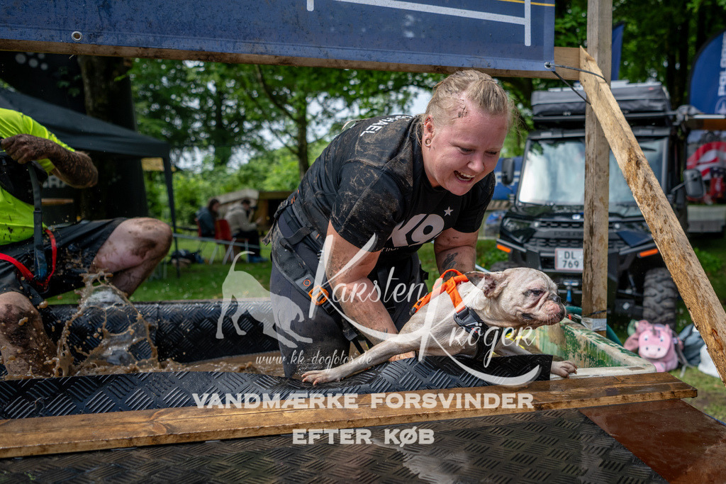 1115_ZZ93471 | kk-dogfotos