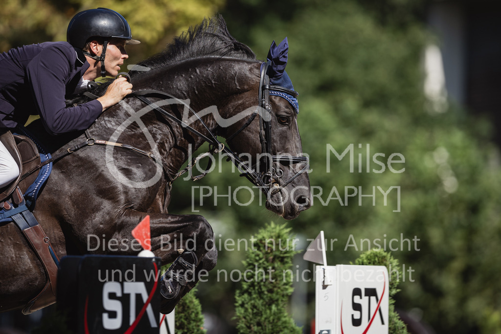 230908_OWLCh_LargeTour-447 | Deine schönsten Turniermomente als professionelle Fotos! Entdecke hochwertige Pferdesport-Fotografie im Online-Shop. Jetzt Fotos finden & bestellen!