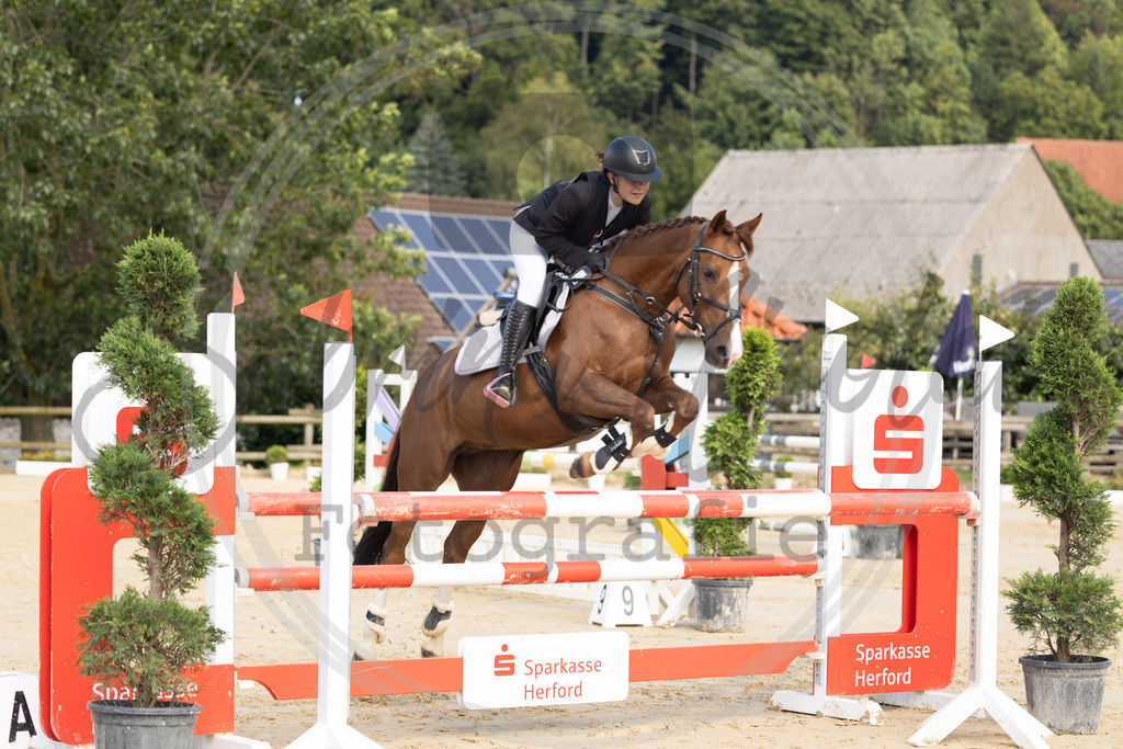 994A8142 | sabrinanicolaifotografie - Realisiert mit Pictrs.com