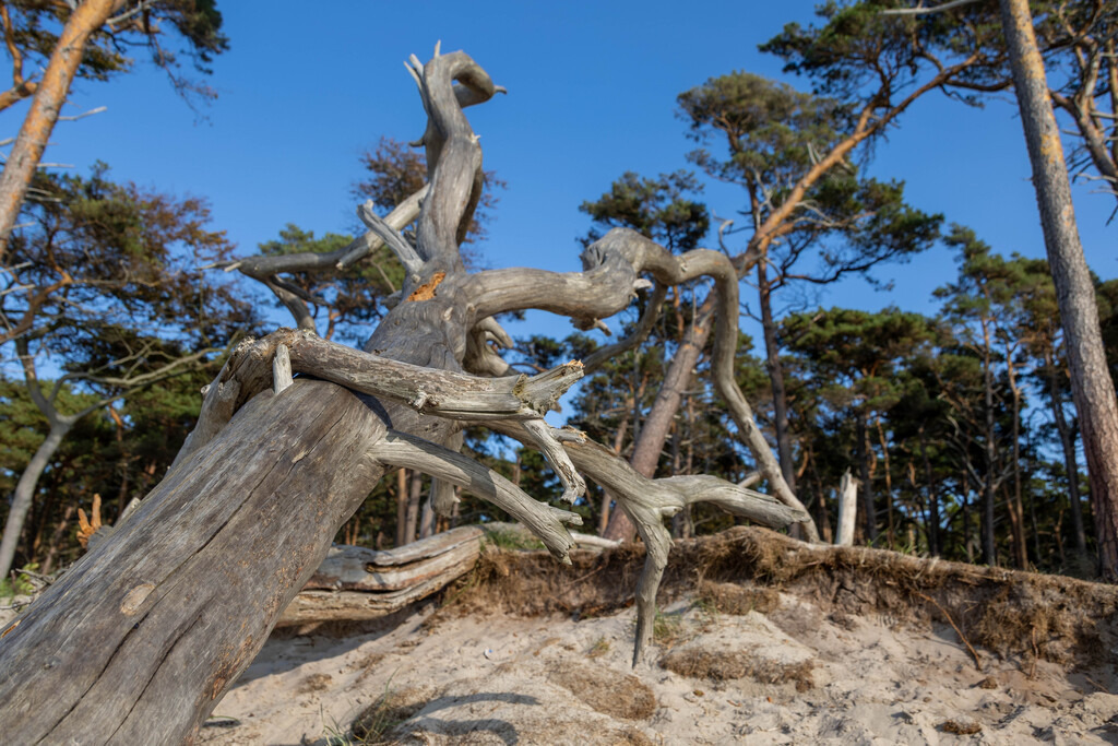 Ostsee (45) | hgt-foto