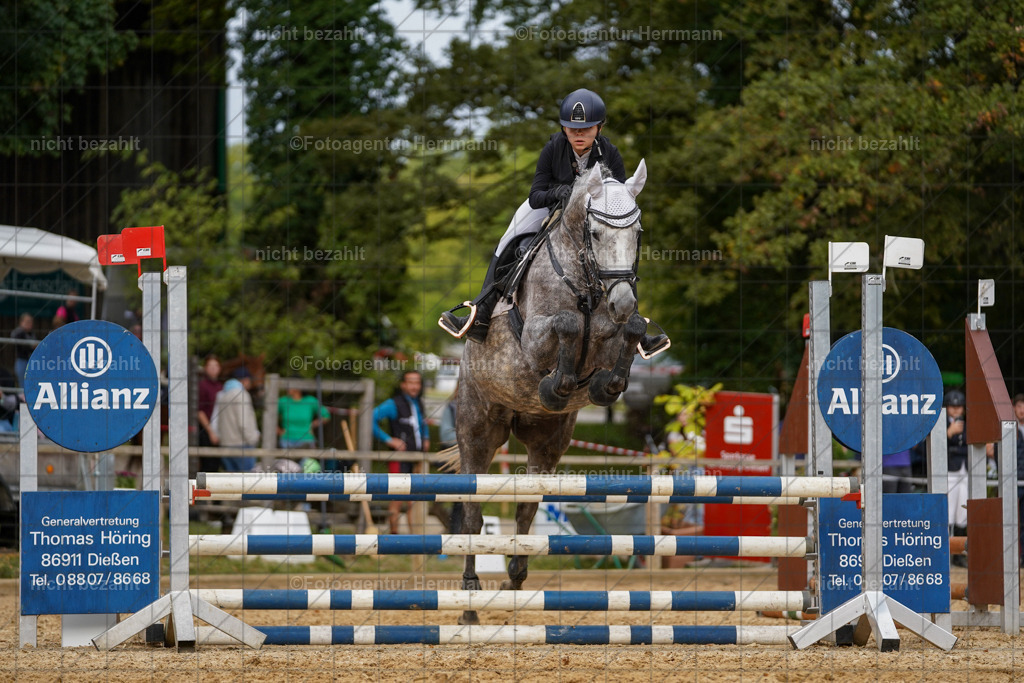 20231008-SN_01325 | Diessen am Ammersee, 2023, Dressur- und Springturnier, Reitsport, Turnierfotografie, Pferdebilder, Reitbilder, Turnierfotografen Bayern, Fotoagentur Herrmann