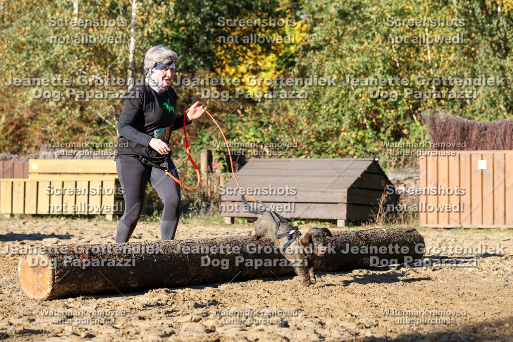 Dog Paparazzi - Strongdog 10-25-1597 | Dog Paparazzi Jeanette Grottendiek Fotografie & Videografie - Realisiert mit Pictrs.com