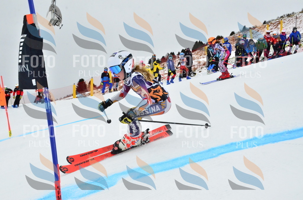 _ELE3349 | holidayphoto