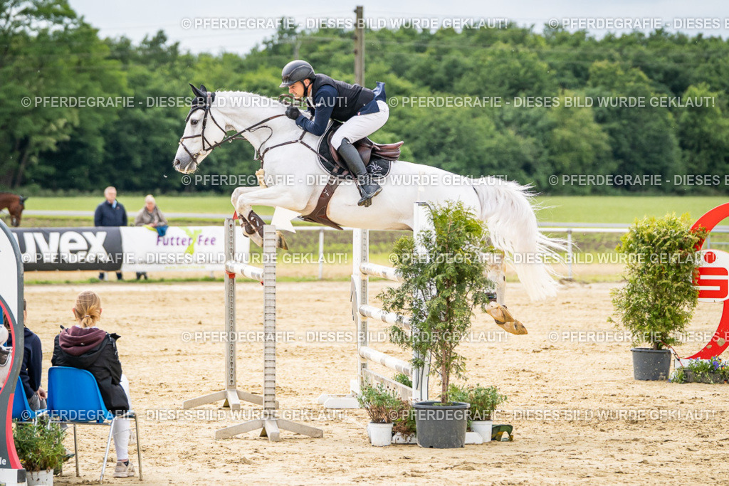 DSC06451 | Pferdegrafie