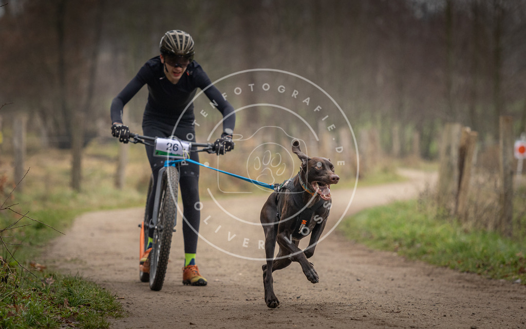 Pfotenfotografie_DV3A2130 | Hundefotografie, Tierfotograf, Pfotenfotografie, Fotoshooting Hund, Hunde Portrait, Hundesport, Hundeportraits, Heideshooting, Hunde, Sportfotograf, Hundefotograf, Turnierhundsport, THS,  - Realisiert mit Pictrs.com