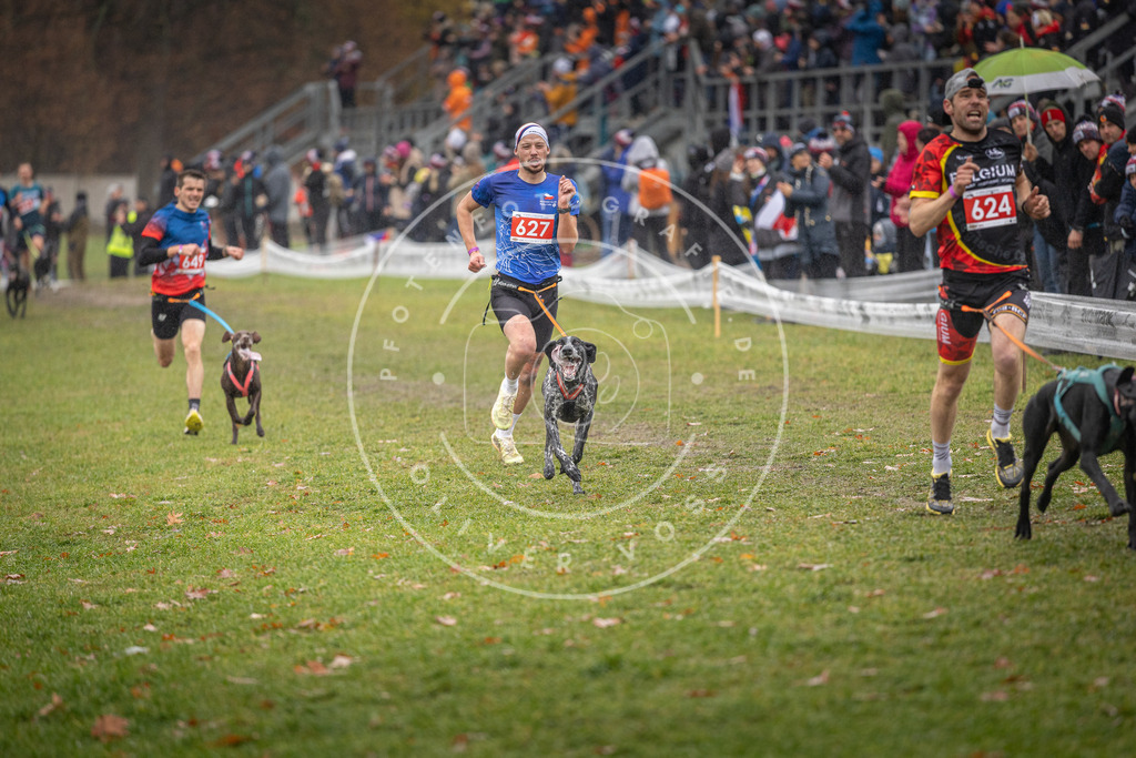 CaniXpix_DV3A9664 | Hundefotografie, Tierfotograf, Pfotenfotografie, Fotoshooting Hund, Hunde Portrait, Hundesport, Hundeportraits, Heideshooting, Hunde, Sportfotograf, Hundefotograf, Turnierhundsport, THS,  - Realisiert mit Pictrs.com