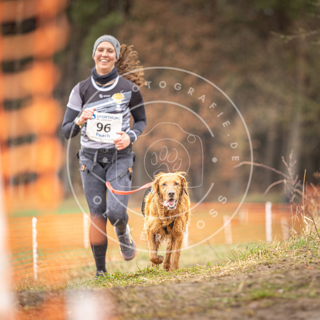 DV3A0549 | Hundefotografie, Tierfotograf, Pfotenfotografie, Fotoshooting Hund, Hunde Portrait, Hundesport, Hundeportraits, Heideshooting, Hunde, Sportfotograf, Hundefotograf, Turnierhundsport, THS,  - Realisiert mit Pictrs.com