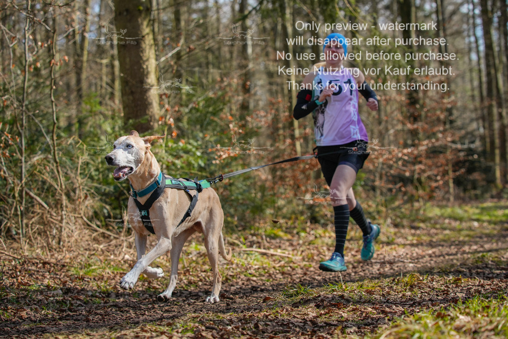 2_So_CC-13 | stephaniefillaphotographie - Realisiert mit Pictrs.com