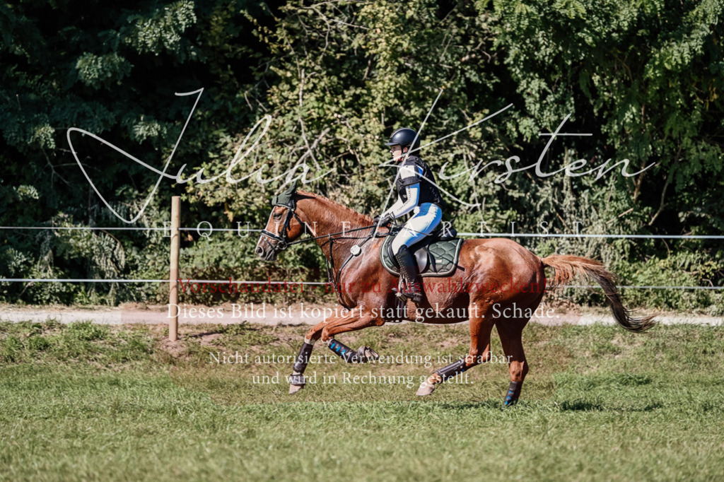 DSC_3172 | Pferde- und Turnierfotografie in Westsachsen. Pferdeportraits, Auftragszeichnungen und intuitive Kunst.