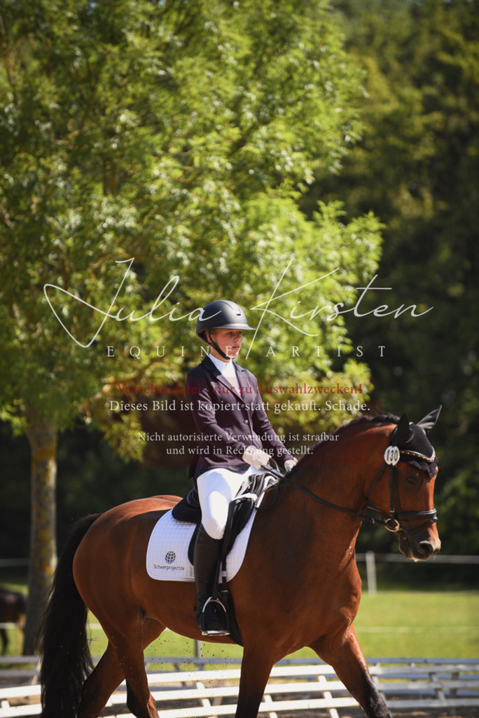 DSC_0552 | Pferde- und Turnierfotografie in Westsachsen. Pferdeportraits, Auftragszeichnungen und intuitive Kunst.