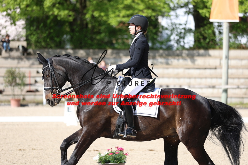 A40A3800 | lmwpictures - Realisiert mit Pictrs.com