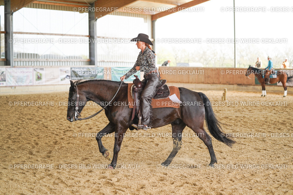 DSC00700 | Pferdegrafie