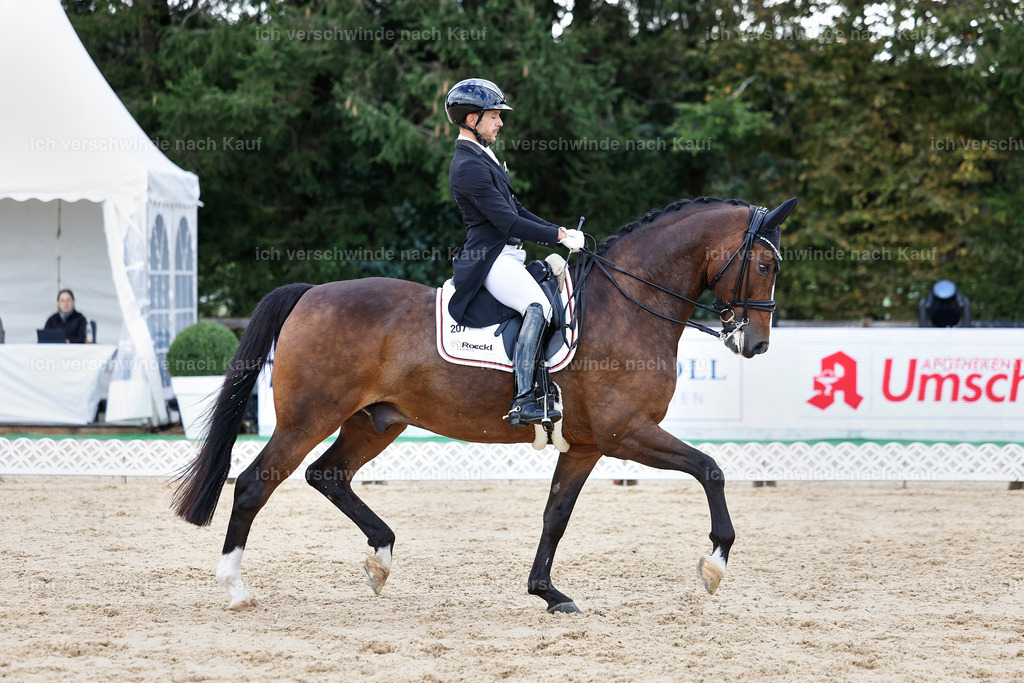 10-207-ST.GEORG SPECIAL -StoibPH-3262 | working equitationturnier fotograf videograf stoibphotography marixx film working equitation deutschland reitsport turnierfotografie eventfotografie equestrian events