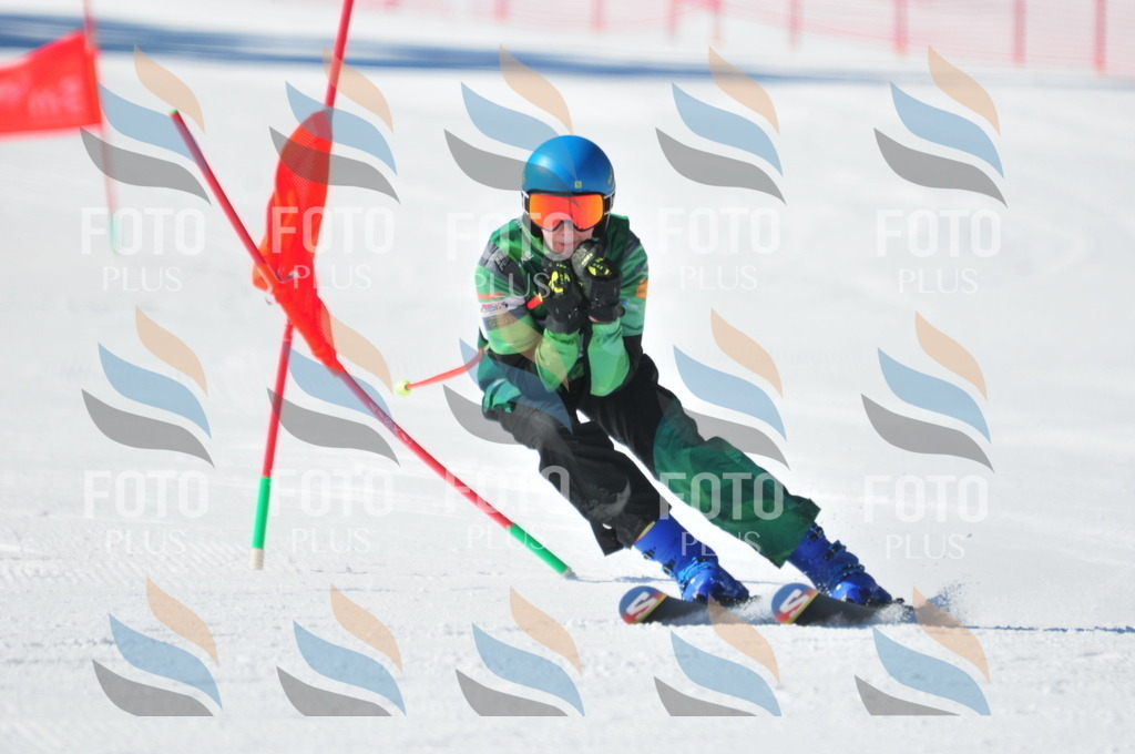 C3685 | holidayphoto