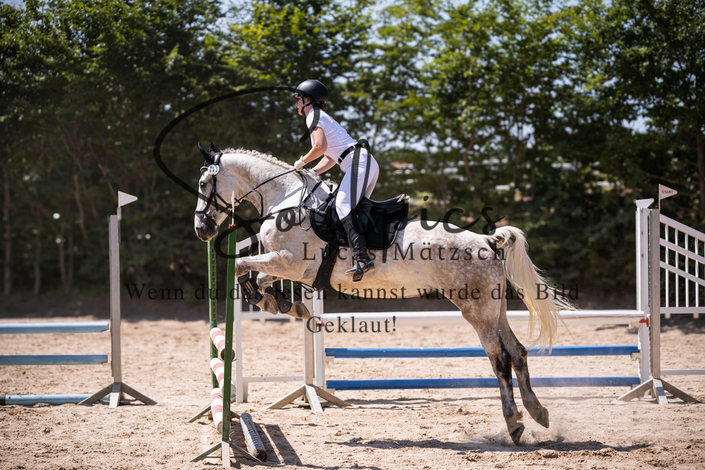 A7V08530 | Pferdefotograf