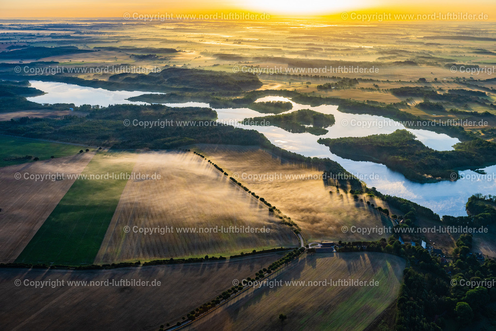 Kittlitz_Baureihe_im_Nebel_Im_Sonnenaufgang_ELS_6505100822 | SALEM 10.08.2022 Felder Allee im Morgennebel in Salem im Bundesland Schleswig-Holstein, Deutschland. // Fields avenue in the morning fog in Salem in the state Schleswig-Holstein, Germany. Foto: Martin Elsen