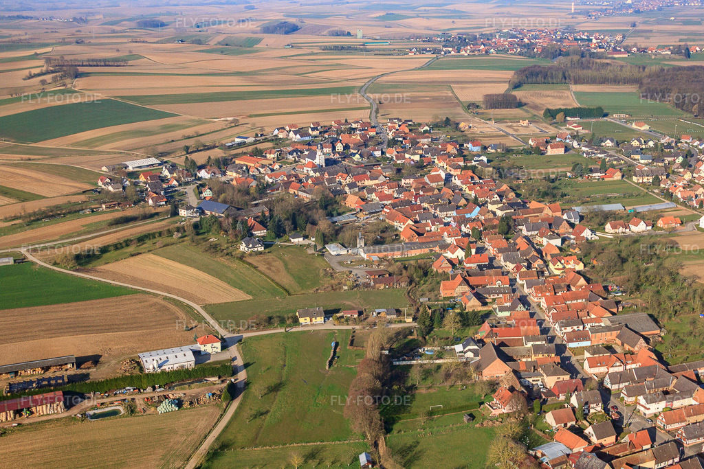 Luftbild: Ortsansicht von Osten in Niederlauterbach im Bundesland Bas-Rhin in Frankreich. – Foto: IMG_62665.jpg vom 09.03.2014 durch Werner Riehm/FLY-FOTO.de – Auflösung des Originals: 4572 x 3048 px