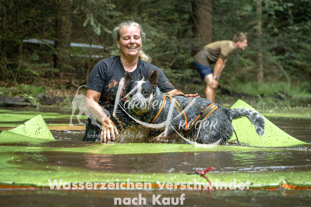 1531_ZZ91142-Bearbeitet | kk-dogfotos