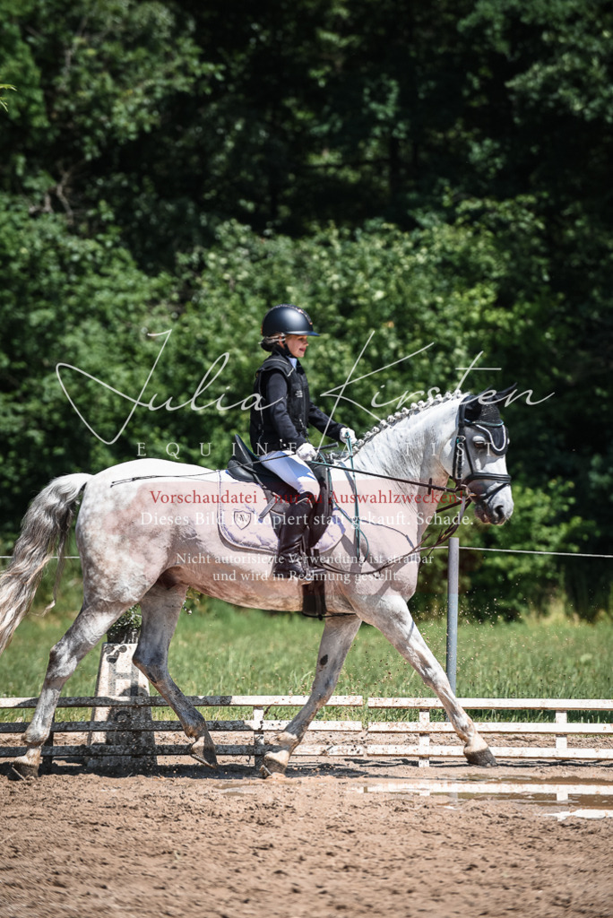 DSC_3099 | Pferde- und Turnierfotografie in Westsachsen. Pferdeportraits, Auftragszeichnungen und intuitive Kunst.