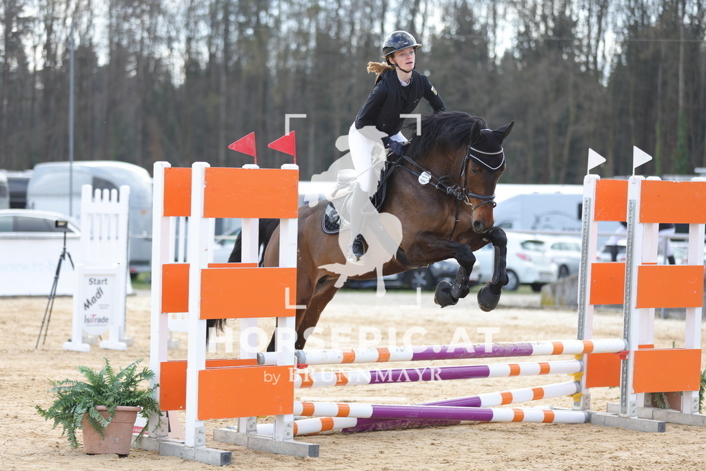 0P6A7209 | Willkommen bei Brunnmayr - Design & Fotografie – Ihrem Spezialisten für Reitturniere und Pferdeveranstaltungen in Oberösterreich, Salzburg und Bayern! Seit über 17 Jahren sind wir leidenschaftlich dabei.