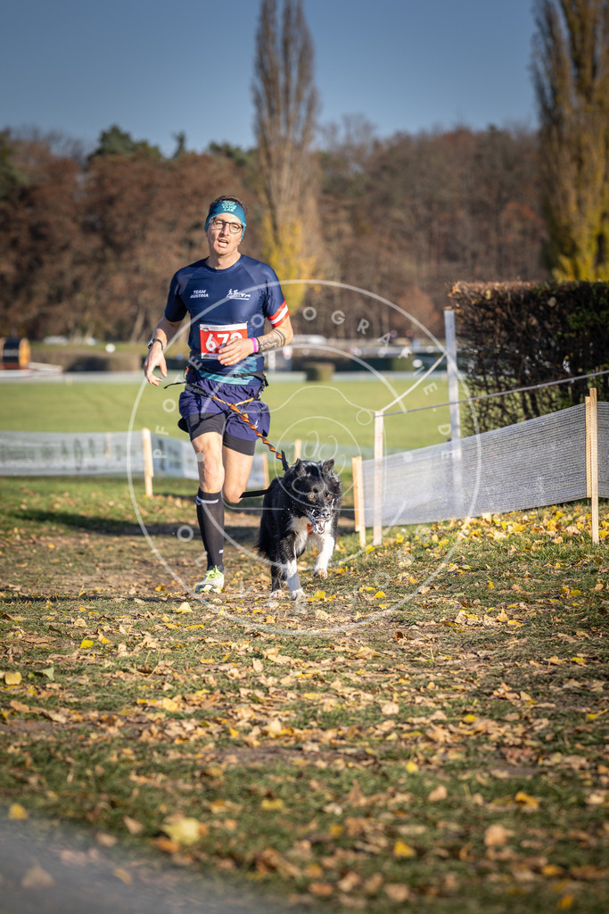 CaniXpix_DV3A0883 | Hundefotografie, Tierfotograf, Pfotenfotografie, Fotoshooting Hund, Hunde Portrait, Hundesport, Hundeportraits, Heideshooting, Hunde, Sportfotograf, Hundefotograf, Turnierhundsport, THS,  - Realisiert mit Pictrs.com