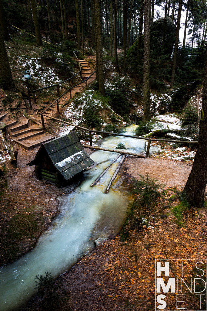 Winterwald | Sichere dir dein Lieblingsbild von HISMINDSET als Print für dein Zuhause oder das Büro! - Realisiert mit Pictrs.com