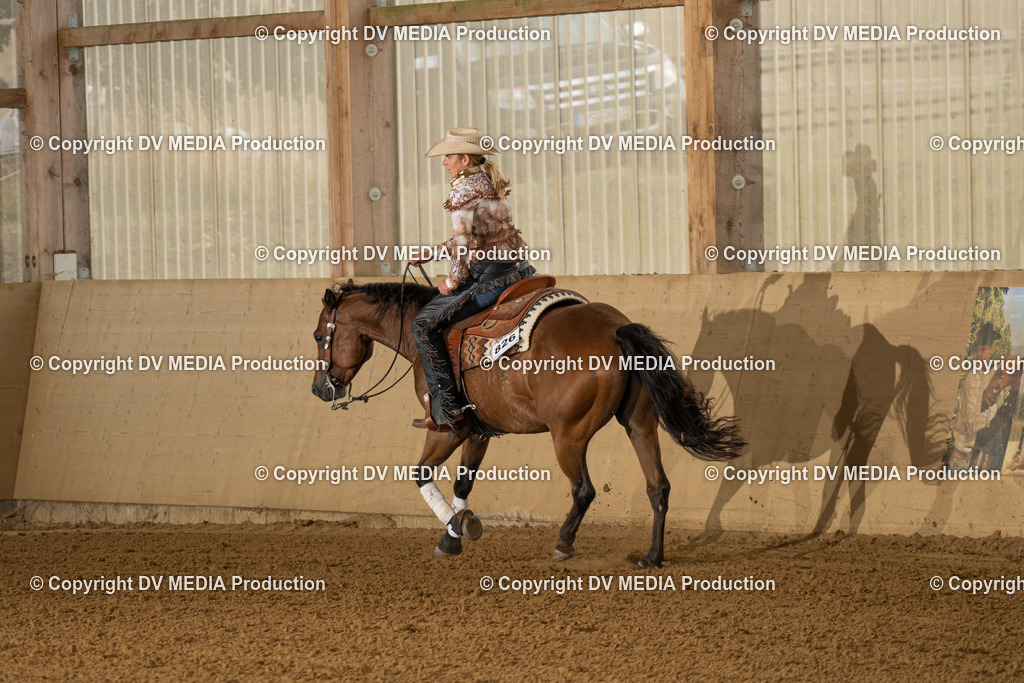 LAU00935 | dv-media-shop - Realisiert mit Pictrs.com